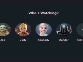 Qui y A-t-il sur Disney plus ?