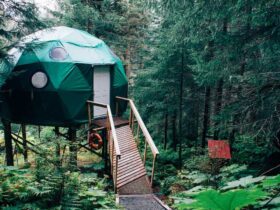 Comment choisir la meilleure assurance habitation ?
