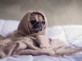 Le stress post-traumatique : comment le surmonter ?